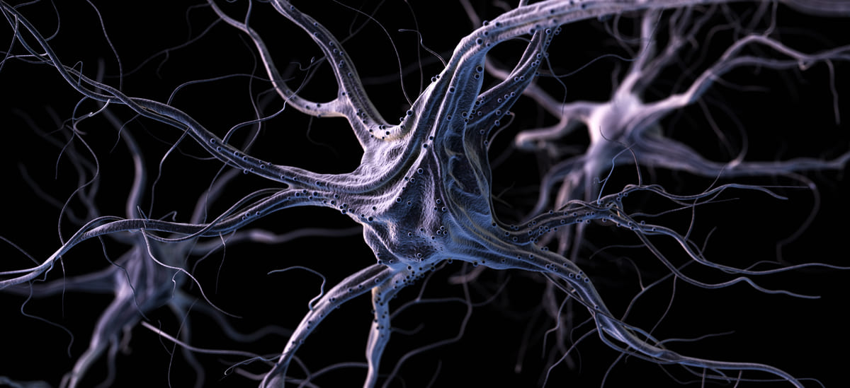 Acupuncture, the Spine and Nerves