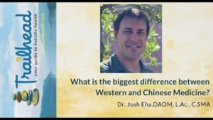 Dr. Josh Diagnosis in Traditional Chinese Medicine