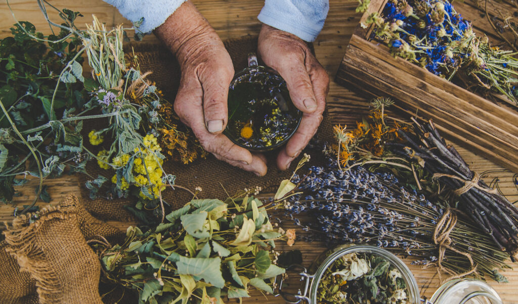Chinese Herbal Medicine